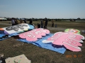 DSCN0618